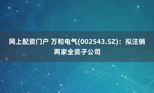 网上配资门户 万和电气(002543.SZ)：拟注销两家全资子公司