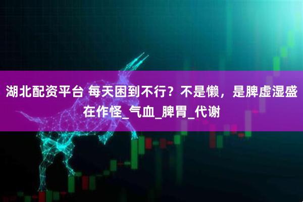 湖北配资平台 每天困到不行？不是懒，是脾虚湿盛在作怪_气血_脾胃_代谢