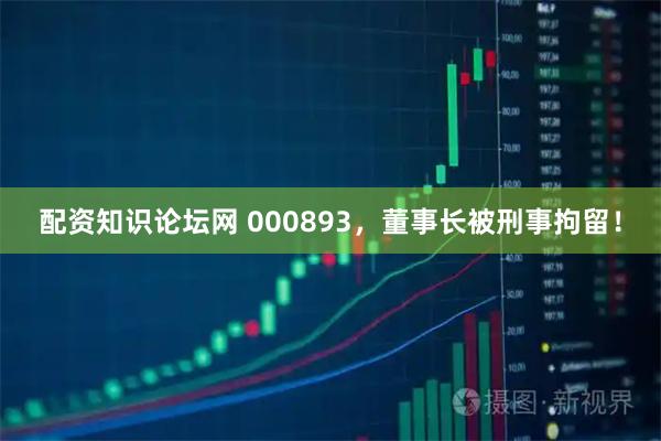配资知识论坛网 000893，董事长被刑事拘留！