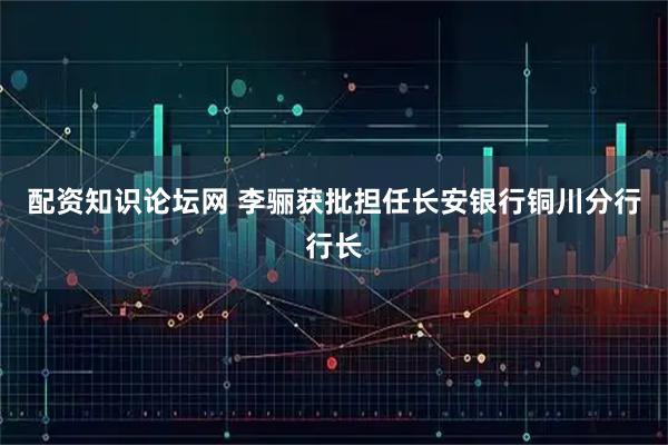 配资知识论坛网 李骊获批担任长安银行铜川分行行长