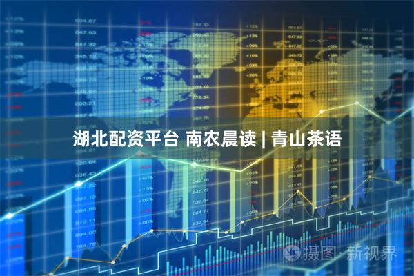 湖北配资平台 南农晨读 | 青山茶语